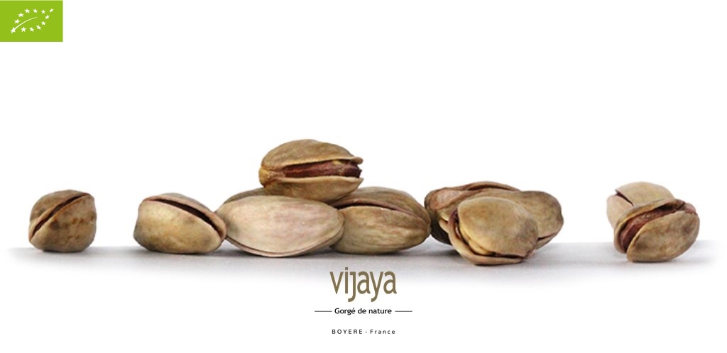 Pistache Coque Nature - ESPAGNE - 8 kg - Bio*